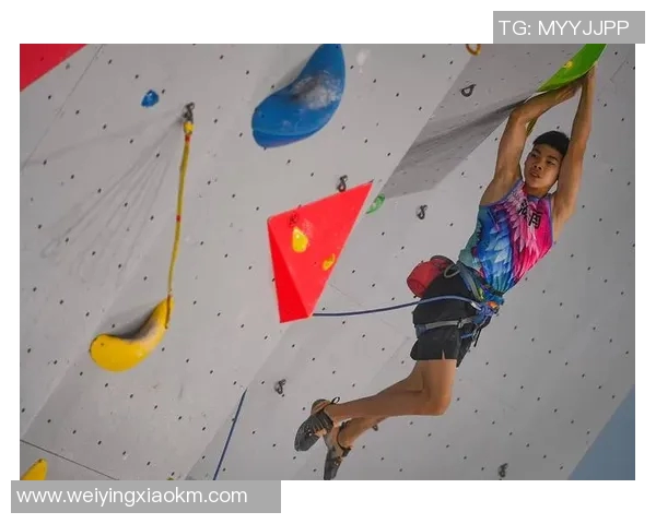 武汉攀岩队在全国速度排行榜中荣获第三名的辉煌成就