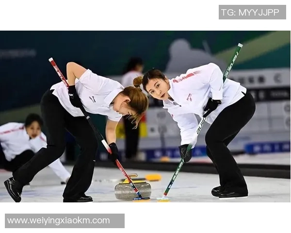 北京乒乓球队技术解析：从基础训练到比赛策略的全面探讨